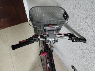 Bicicleta de paseo