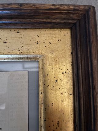 incisione originale 1800