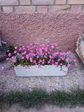 Jardineras macetero.Con flores.