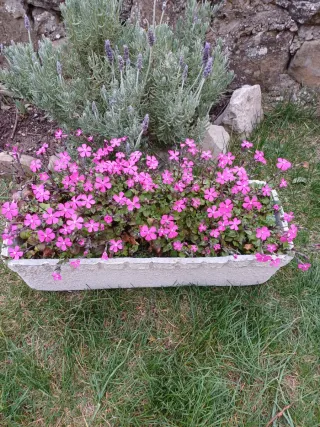 Jardineras macetero.Con flores.