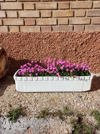 Jardineras maceteros de cemento.