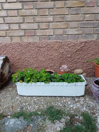 Jardineras maceteros de cemento.