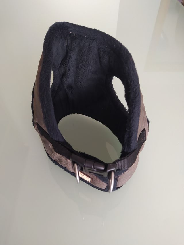 Arnés para mascotas 