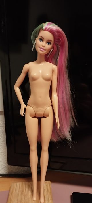 Barbies sin complementos