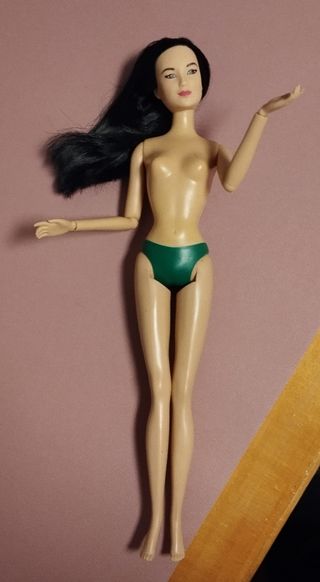 Barbies sin complementos