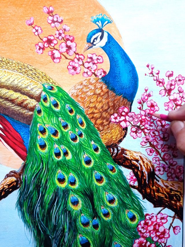 Dibujo a Mano