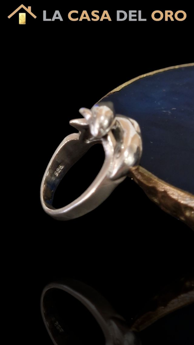 Anillo plata 925 -C79/PC14-