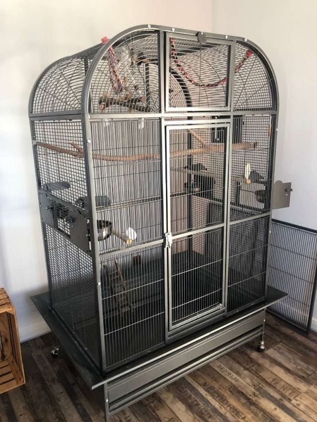 Jaula loros voladera