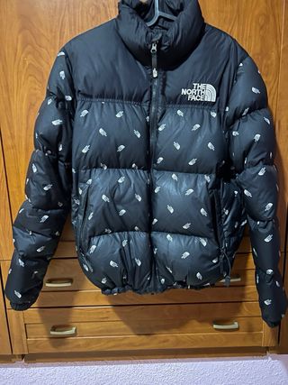 chaqueta the north face