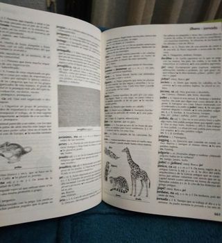 DICCIONARIO ESCOLAR ESPAÑOL 