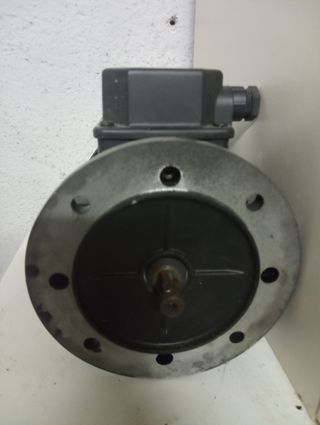 Motor electrico 0.33CV