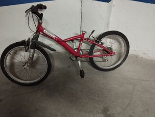 Bicicleta niño-niña 