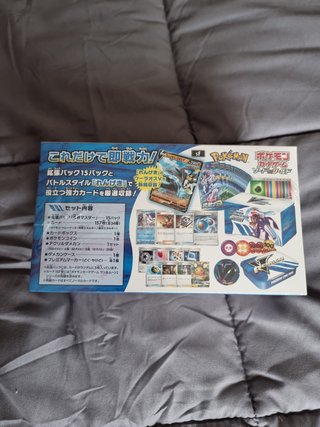 Pokémon Sword & Shield trainer Rengeki/Ichigeki