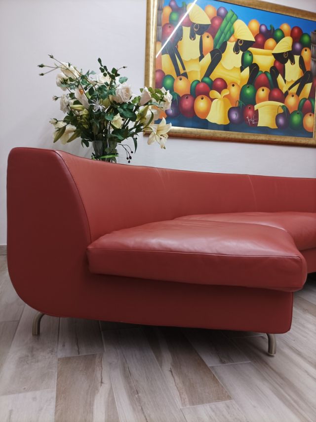 Divano in pelle Minotti