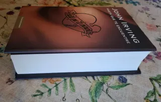 Hasta que te encuentre de John Irving