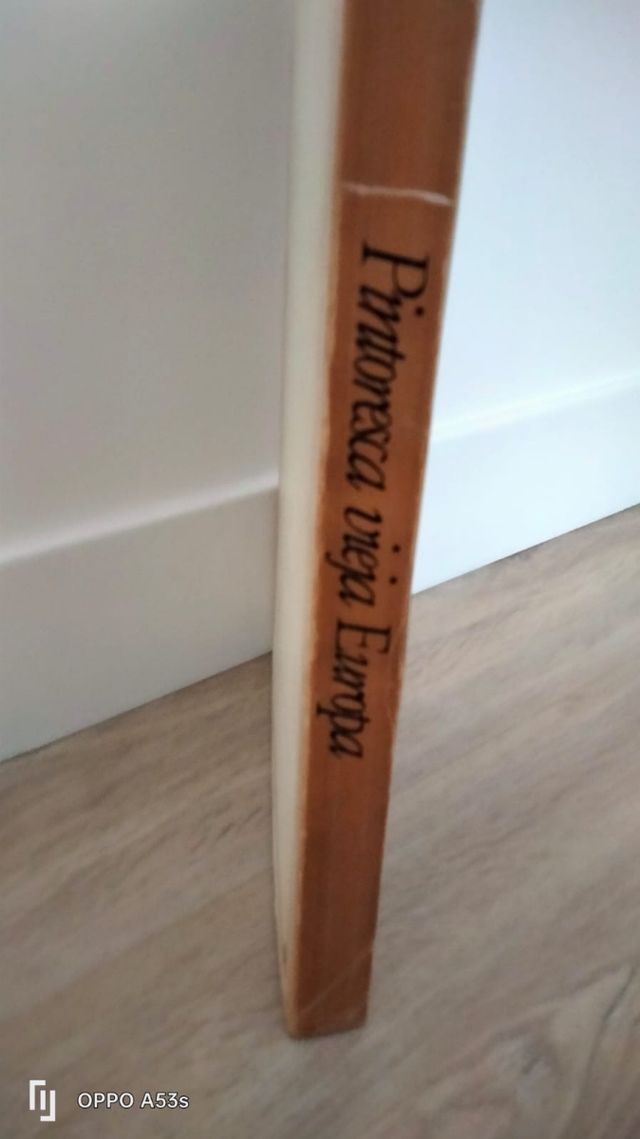 Libro sobre Pintoresca vieja Europa