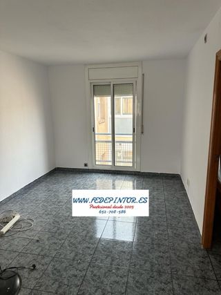 pintor profesional autonomo