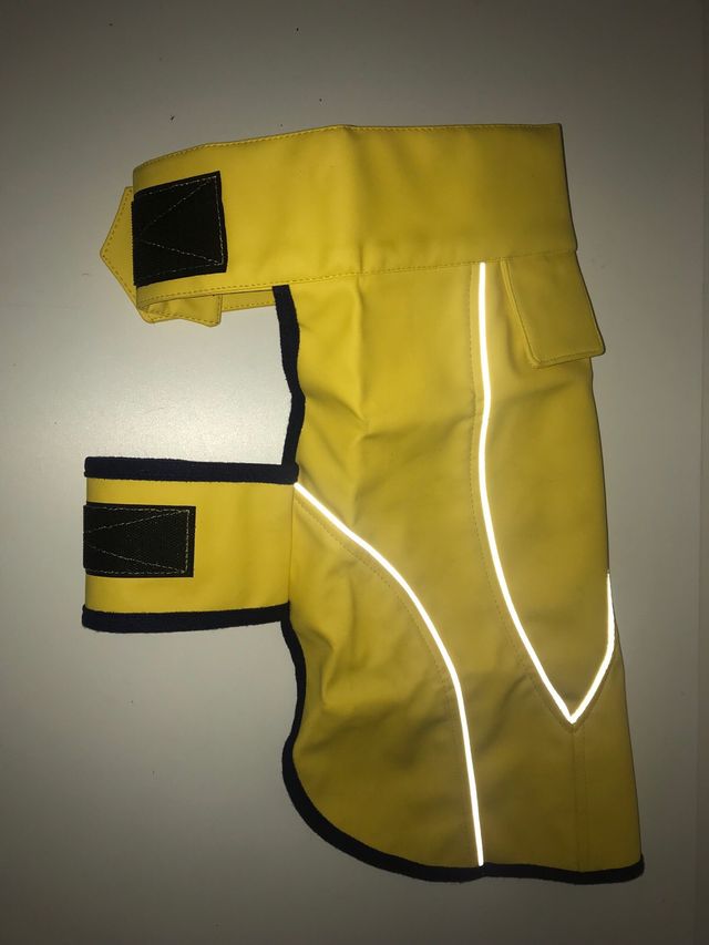 Chubasquero Impermeable perro