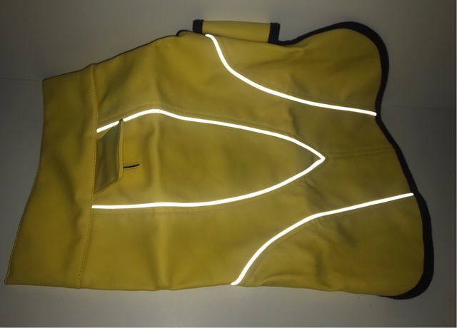 Chubasquero Impermeable perro