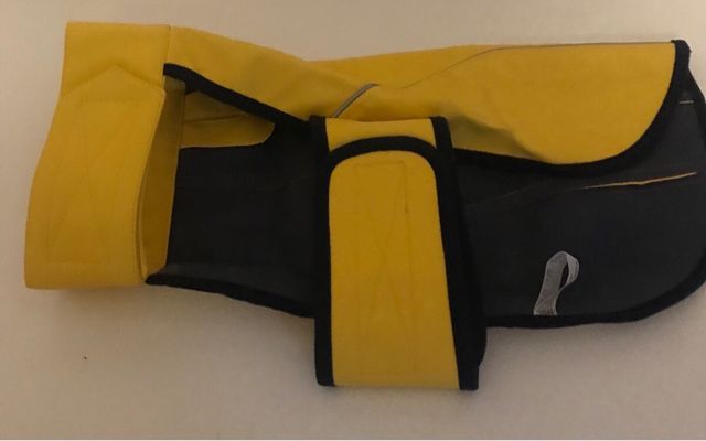 Chubasquero Impermeable perro