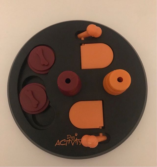 juego de inteligencia para perros