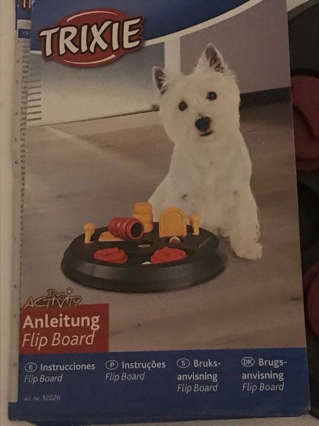 juego de inteligencia para perros