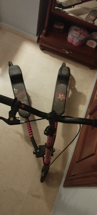 Patinete doble rojo
