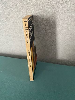 libro: addio alla casa gialla