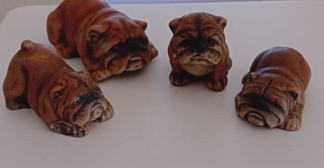 CANI BULLDOG INGLESI