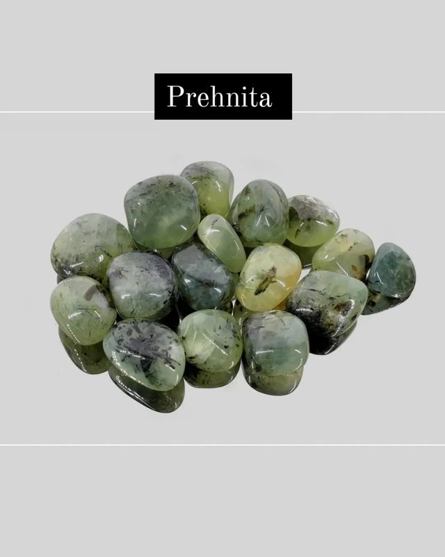 Prehnita