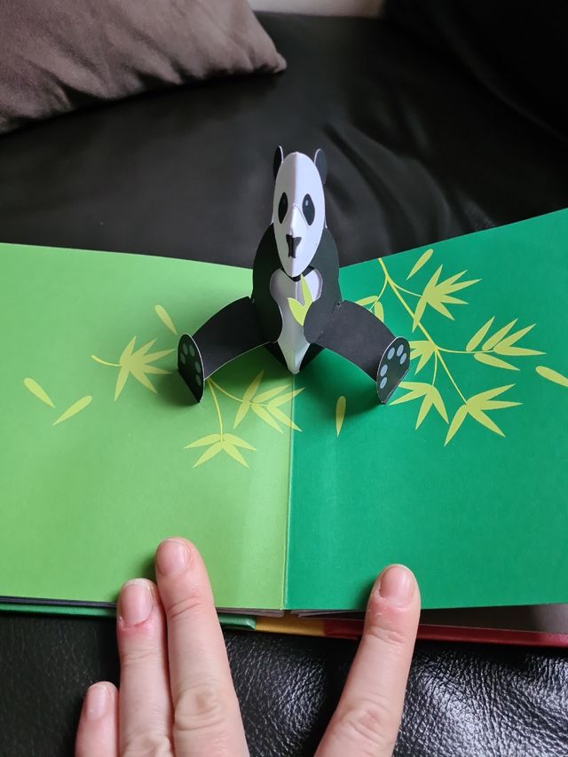 libro ZOO desplegables