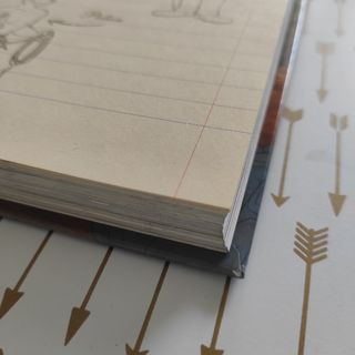 Gerónimo Stilton: SANDOKAN. 🐅