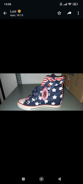 Zapatillas tipo converse