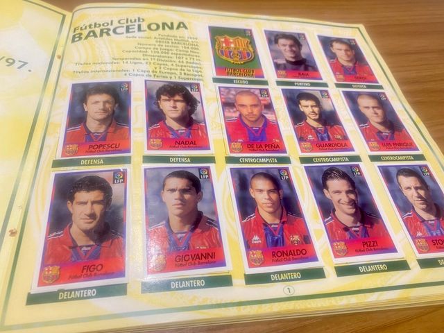 Lote material comestibles