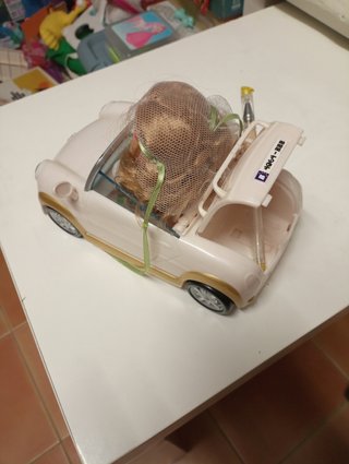 BARRIGUITA DE NOVIA CON COCHE.