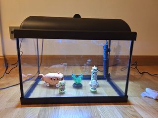 Acuario