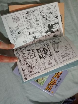Mangas de one piece