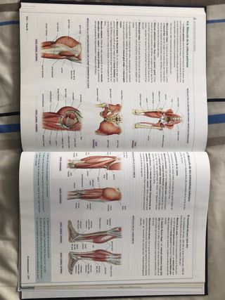 Libro de bachillerato