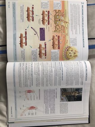 Libro de bachillerato