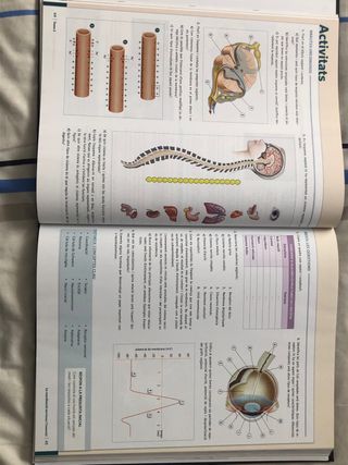 Libro de bachillerato