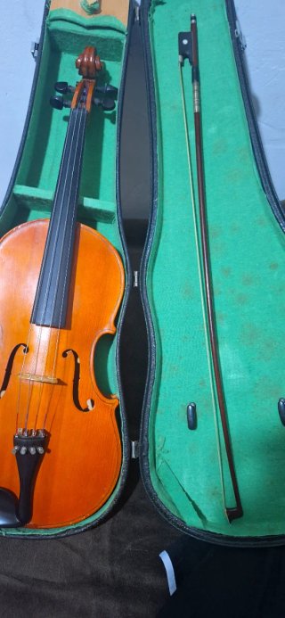 Viola Skylark Brand