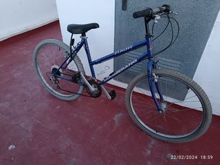 Bicicleta boomerang