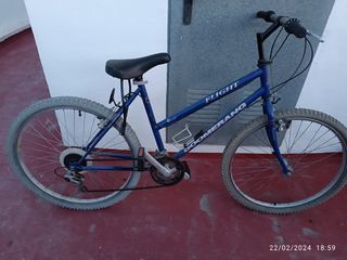 Bicicleta boomerang