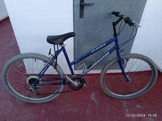 Bicicleta boomerang