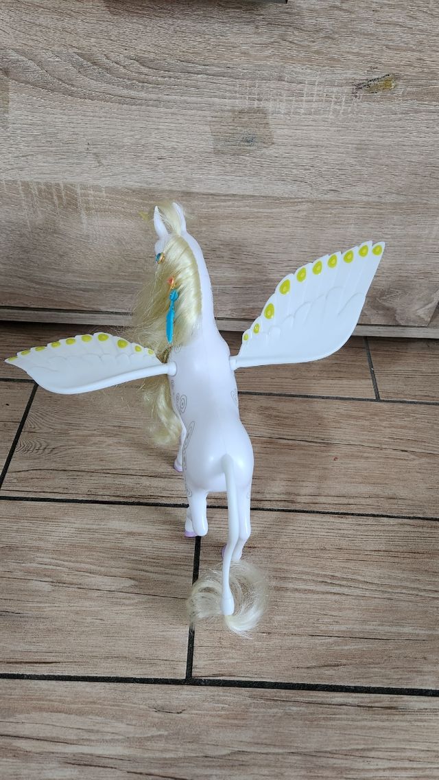 Cavallo di mia and me