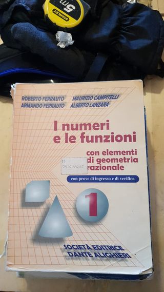 i numeri e le funzioni 1 campitelli ferrauto