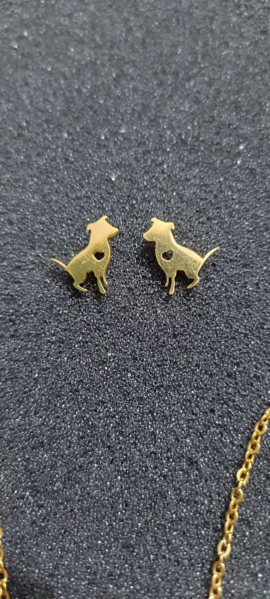 Conjunto de acero, collar y pendientes