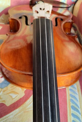 Violin