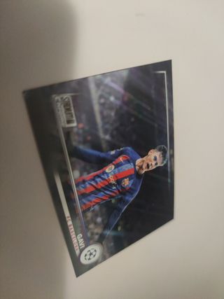 Gavi. 20 unidades disponibles