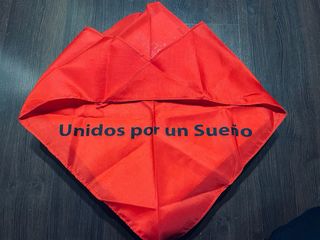 Periódico Mundial 2010 y pósters selección